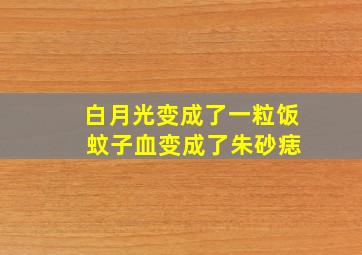 白月光变成了一粒饭 蚊子血变成了朱砂痣